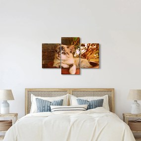 Tablou cu pisica în ghiveci (90x60 cm)