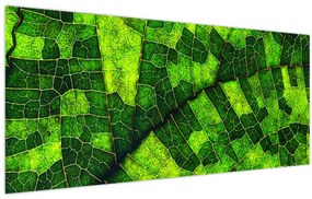 Tablou - Detaliu frunze (120x50 cm)