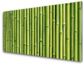 Tablou pe sticla Bamboo Canes Floral Verde