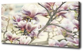 Pictură pe pânză Magnolie