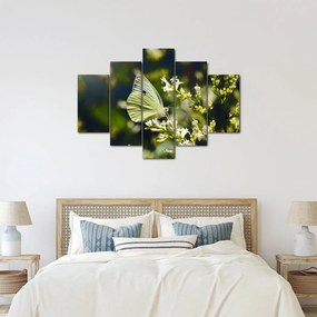 Tablou cu fluture (150x105 cm)