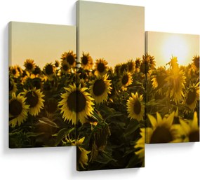 Tablou cu lan de floarea soarelui (90x60 cm)