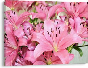 Tablou - Liliac roz (70x50 cm)