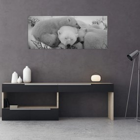 Tablou - Urși polari, alb-negru (120x50 cm)