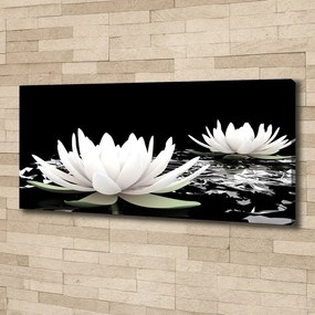 Print pe canvas Nuferi