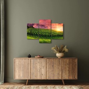 Tablou cu vie cu cerul color (90x60 cm)
