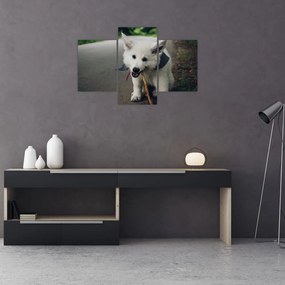 Tablou cu câinele alb (90x60 cm)
