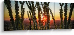 Tablou - Plante (cu ceas) (90x30 cm)