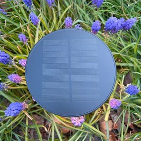 Lampă LED solară Zuma Line DT33611 CARLI LED/2W/2000 mAh IP44 negru