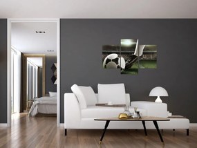 Tablou - Minge de fotbal (90x60 cm)