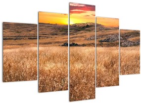 Tablou cu câmp (150x105 cm)