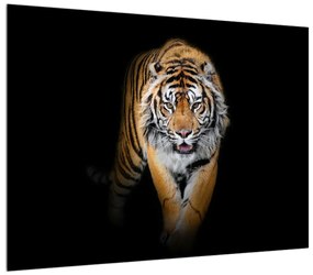 Tablou cu tigru (70x50 cm), în 40 de alte dimensiuni noi