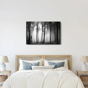 Tablou - Lup în pădurea întunecată (90x60 cm)