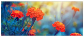 Tablou - Flori portocalii (120x50 cm)