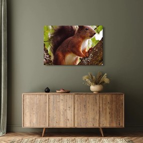 Tablou cu veverița (90x60 cm)
