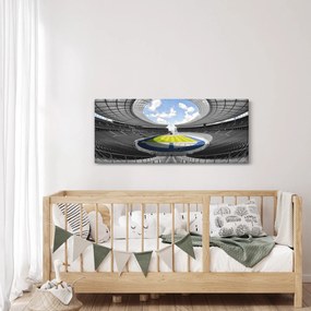 Tablou - stadionul de fodbal (120x50 cm)