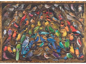 PUZZLE CURCUBEU DE PASARI, 1000 PIESE - RAVENSBURGER (RVSPA17478)