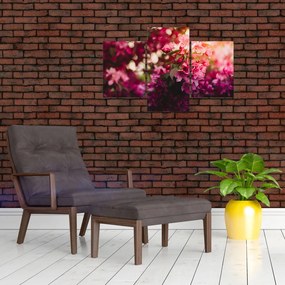Tablou cu florile tufișului înflorit (90x60 cm)