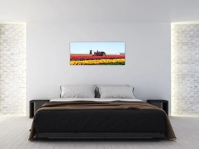 Tablou cu farma de lalele (120x50 cm)