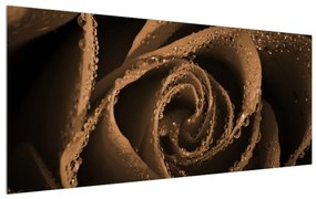 Tablou cu trandafiri cu picături (120x50 cm), în 40 de alte dimensiuni noi