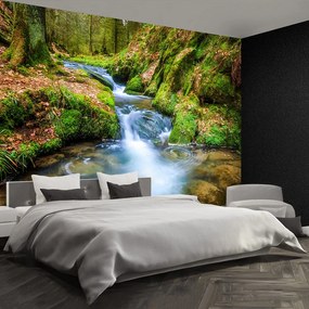 Fototapet Forest Stream