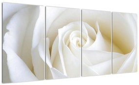 Tablou - trandafiri albi (160x80cm)
