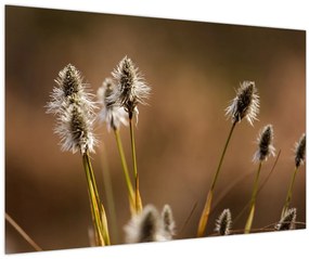 Tablou - Iarbă (90x60 cm)