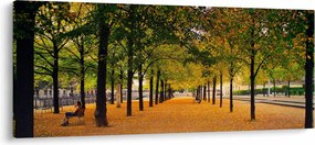 Tablou cu alee cu copaci în toamnă (120x50 cm)