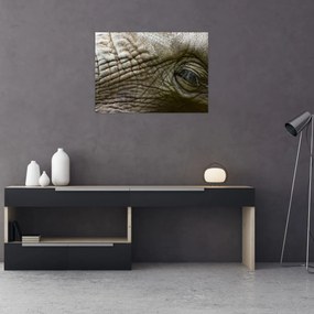 Tablou - Prim-planul ochiului de elefant vechi (70x50 cm)