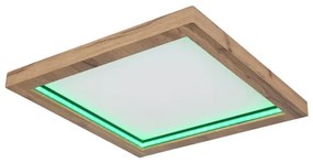 Plafonieră LED RGBW dimabilă BRANZA LED/24W/230V Globo 41374-24 + telecomandă