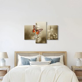 Tablou cu fluture (90x60 cm)