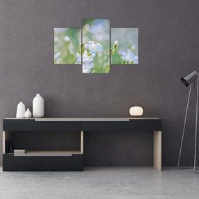 Tablou - Flori delicate (90x60 cm)