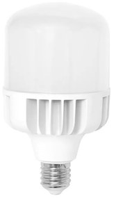 Bec LED E40/50W/230V - Ecolite