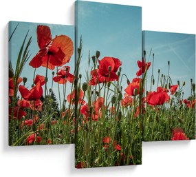 Tablou - Pe câmpul cu maci (90x60 cm)