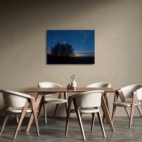 Tablou cu copaci noapte (70x50 cm)