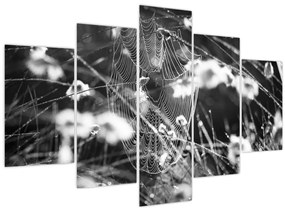 Tablou - Pânza de păianjen în pajiște (150x105 cm)