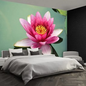 Fototapet Floare de lotus