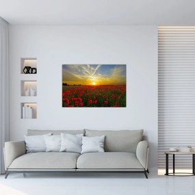 Tablou cu câmp cu maci (90x60 cm)