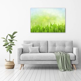 Tablou pe pânză canvas Iarbă