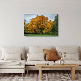 Tablou cu copac (90x60 cm)