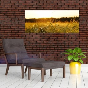 Tablou iarba cu rouă (120x50 cm)