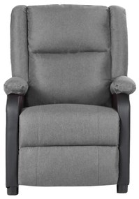 329487 vidaXL Fotoliu rabatabil, gri deschis, piele ecologică și textil