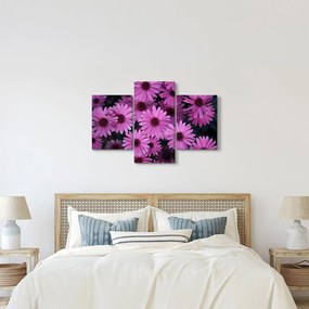 Tablou cu florile roz (90x60 cm)