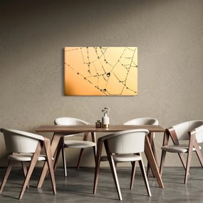 Tablou cu pânză de pâianjen cu rouă (90x60 cm)