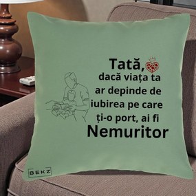 Cadou pentru Tata - Perna Personalizata Tata Nemuritor Lectura, 40x40 cm, Verde, Husa Detasabila, Perna Inclusa, BEKZ®