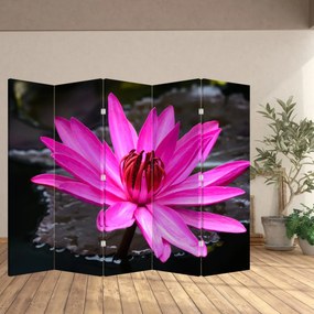 Paravan - Floarea roz (210x170 cm)