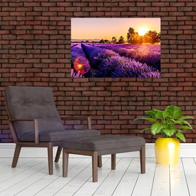 Tablou cu câmp de lavandă (90x60 cm)