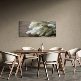 Tablou - Coadă de iepure (120x50 cm)