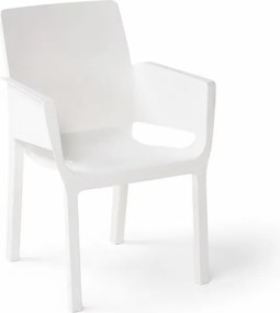 Scaun de masa pentru gradina EVELYN, alb