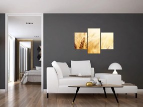 Tablou- detaliu cu (90x60 cm)